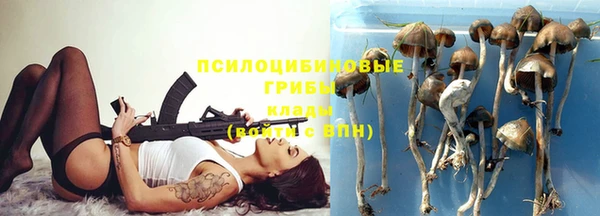 гашик Бронницы