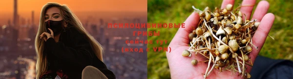 бошки Бугульма