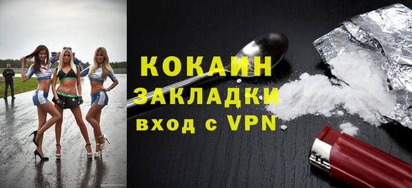 ПСИЛОЦИБИНОВЫЕ ГРИБЫ Бородино